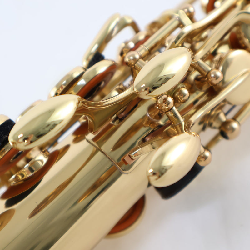 Antigua Winds Model AS3108LQ Alto Saxophone in Classic Lacquer BRAND NEW- for sale at BrassAndWinds.com