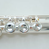 Armstrong Model AFL201 Beginner Flute SN A3024039 OPEN BOX- for sale at BrassAndWinds.com