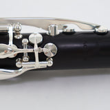 Backun Model BCLAQG-SK Q-Series Professional A Clarinet SN Q21886 OPEN BOX- for sale at BrassAndWinds.com