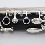 Backun Model BCLAQG-SK Q-Series Professional A Clarinet SN Q21886 OPEN BOX- for sale at BrassAndWinds.com