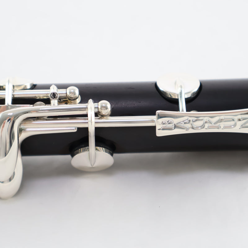 Backun Model BCLAQG-SK Q-Series Professional A Clarinet SN Q21886 OPEN BOX- for sale at BrassAndWinds.com