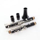 Backun Model BCLAQG-SK Q-Series Professional A Clarinet SN Q21886 OPEN BOX- for sale at BrassAndWinds.com