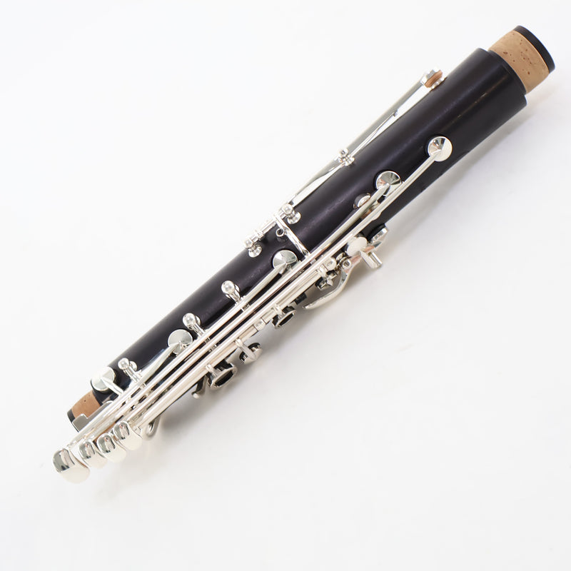 Backun Model BCLAQG-SK Q-Series Professional A Clarinet SN Q21886 OPEN BOX- for sale at BrassAndWinds.com