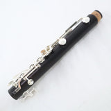 Backun Model BCLAQG-SKE Q-Series Professional A Clarinet BRAND NEW- for sale at BrassAndWinds.com