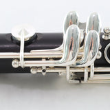 Backun Model BCLAQG-SKE Q-Series Professional A Clarinet BRAND NEW- for sale at BrassAndWinds.com