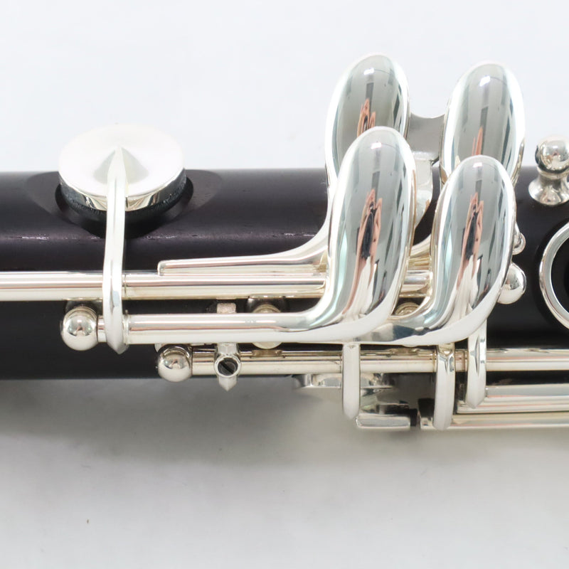 Backun Model BCLAQG-SKE Q-Series Professional A Clarinet BRAND NEW- for sale at BrassAndWinds.com