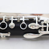 Backun Model BCLAQG-SKE Q-Series Professional A Clarinet SN Q21902 OPEN BOX- for sale at BrassAndWinds.com