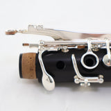 Backun Model BCLAQG-SKE Q-Series Professional A Clarinet SN Q21902 OPEN BOX- for sale at BrassAndWinds.com