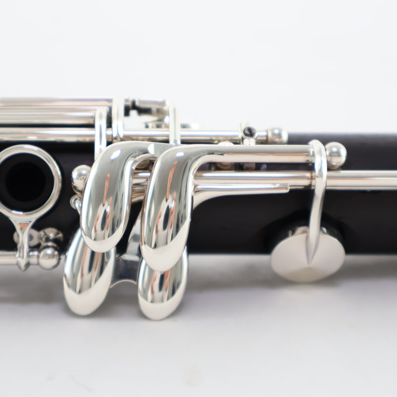 Backun Model BCLAQG-SKE Q-Series Professional A Clarinet SN Q21902 OPEN BOX- for sale at BrassAndWinds.com