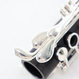 Backun Model BCLAQG-SKE Q-Series Professional A Clarinet SN Q21902 OPEN BOX- for sale at BrassAndWinds.com