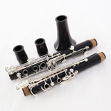 Backun Model BCLAQG-SKE Q-Series Professional A Clarinet SN Q21902 OPEN BOX- for sale at BrassAndWinds.com