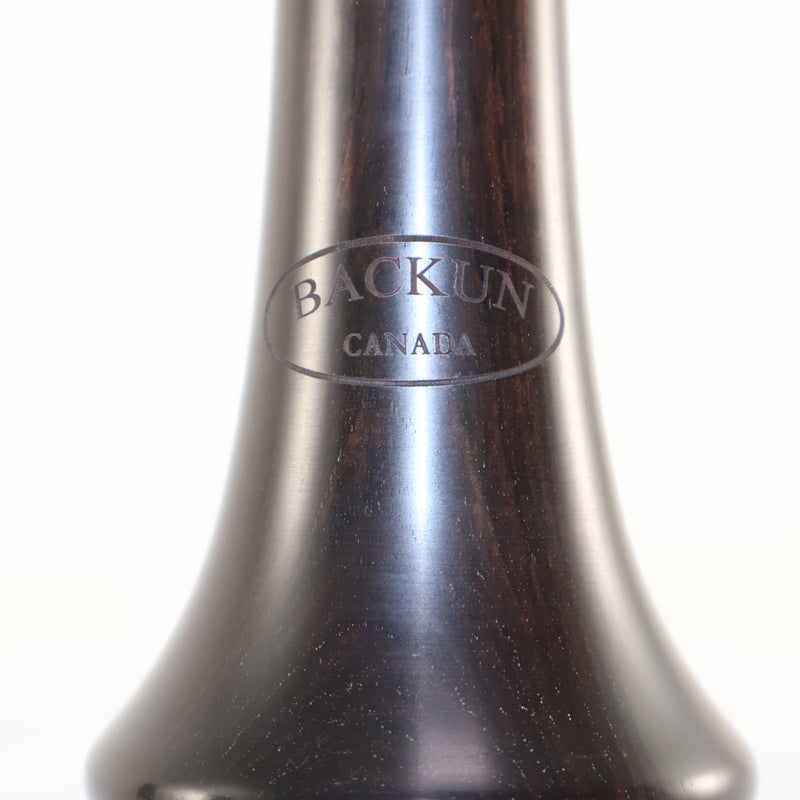 Backun Model BCLAQG-SKE Q-Series Professional A Clarinet SN Q21902 OPEN BOX- for sale at BrassAndWinds.com