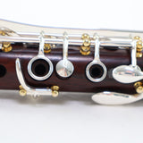 Backun Model BCLBQC-SKGE Q-Series Professional Bb Clarinet SN Q22325 OPEN BOX- for sale at BrassAndWinds.com