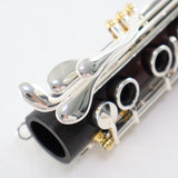 Backun Model BCLBQC-SKGE Q-Series Professional Bb Clarinet SN Q22325 OPEN BOX- for sale at BrassAndWinds.com