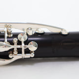 Backun Model BCLBQG-SKE Q-Series Professional Bb Clarinet SN Q21687 OPEN BOX- for sale at BrassAndWinds.com