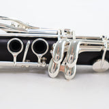 Backun Model BCLBQG-SKE Q-Series Professional Bb Clarinet SN Q21913 OPEN BOX- for sale at BrassAndWinds.com