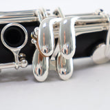 Backun Model BCLBQG-SKE Q-Series Professional Bb Clarinet SN Q21913 OPEN BOX- for sale at BrassAndWinds.com