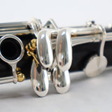 Backun Model BCLBQG-SKGE Q-Series Professional Bb Clarinet SN Q22118 OPEN BOX- for sale at BrassAndWinds.com