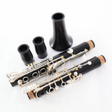 Backun Model BCLBQG-SKGE Q-Series Professional Bb Clarinet SN Q22118 OPEN BOX- for sale at BrassAndWinds.com