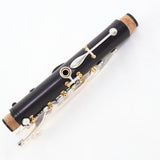 Backun Model BCLBQG-SKGE Q-Series Professional Bb Clarinet SN Q22118 OPEN BOX- for sale at BrassAndWinds.com