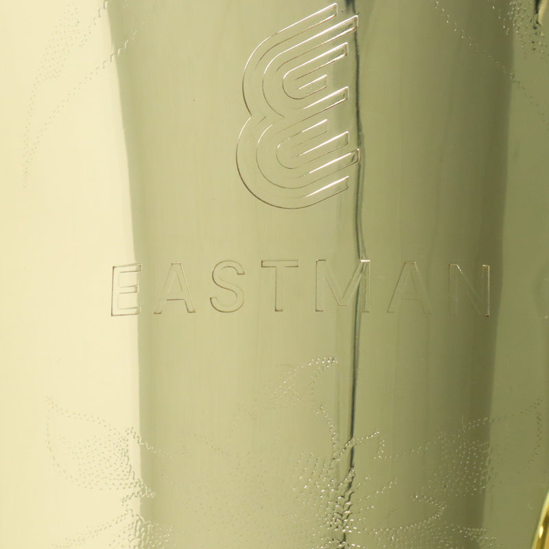 Eastman Model EBB534 Professional BBb 4/4 Piston Valve Tuba BRAND NEW- for sale at BrassAndWinds.com