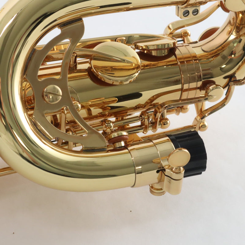 Eastman Model EBS453 Performance Baritone Saxophone with Low A BRAND NEW- for sale at BrassAndWinds.com