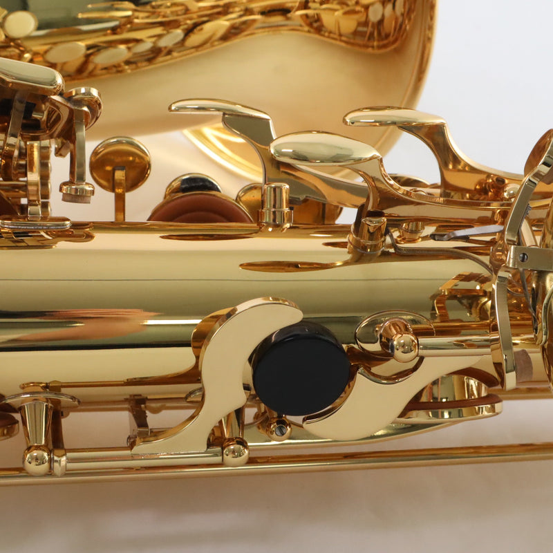 Eastman Model EBS453 Performance Baritone Saxophone with Low A BRAND NEW- for sale at BrassAndWinds.com