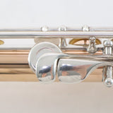 Lillian Burkart 19.5k Solid Gold Handmade Flute SN 331 EXQUISITE- for sale at BrassAndWinds.com