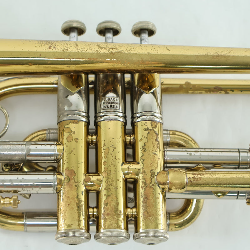 Mount Vernon Bach Stradivarius Model 37 Professional Cornet SN 20982 N –  The Mighty Quinn Brass and Winds