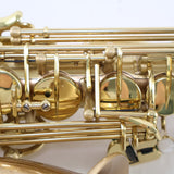 P. Mauriat Model 200 'Le Bravo' Professional Alto Saxophone SN 1210523 OPEN BOX- for sale at BrassAndWinds.com