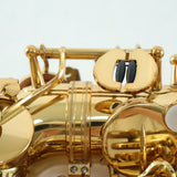 P. Mauriat Model MASTER-97A Professional Alto Saxophone SN 424823 OPEN BOX- for sale at BrassAndWinds.com