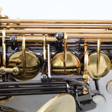 P. Mauriat Model PMXA-67RBX20 20th Anniversary Alto Saxophone SN 0342023A EXCELLENT- for sale at BrassAndWinds.com