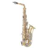 Selmer Model SAS301 Student Alto Saxophone BRAND NEW- for sale at BrassAndWinds.com