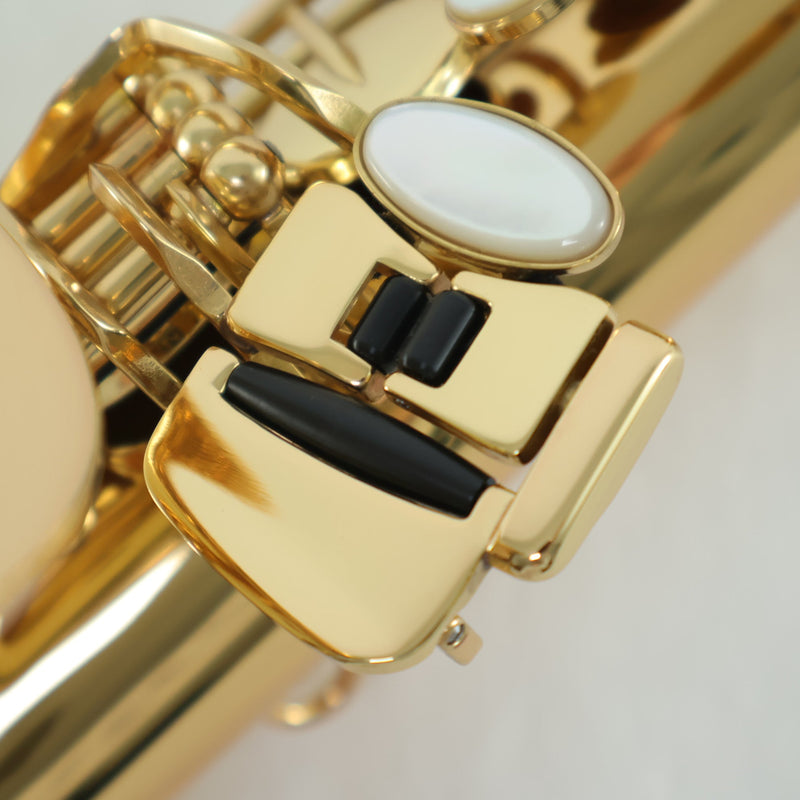 Selmer Model SAS511 Eb Alto Saxophone SN 23115277 OPEN BOX- for sale at BrassAndWinds.com