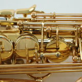 Selmer Model SAS511 Eb Alto Saxophone SN 23115277 OPEN BOX- for sale at BrassAndWinds.com