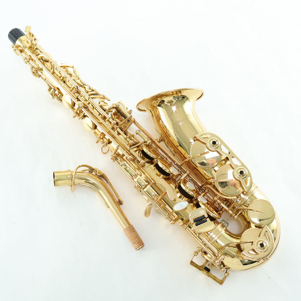 Selmer Model SAS511 Eb Alto Saxophone SN 23115277 OPEN BOX- for sale at BrassAndWinds.com