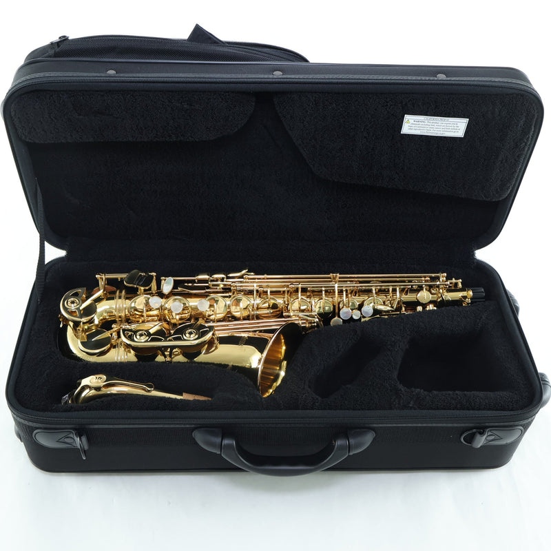 Selmer Model SAS511 Eb Alto Saxophone SN 23115277 OPEN BOX- for sale at BrassAndWinds.com