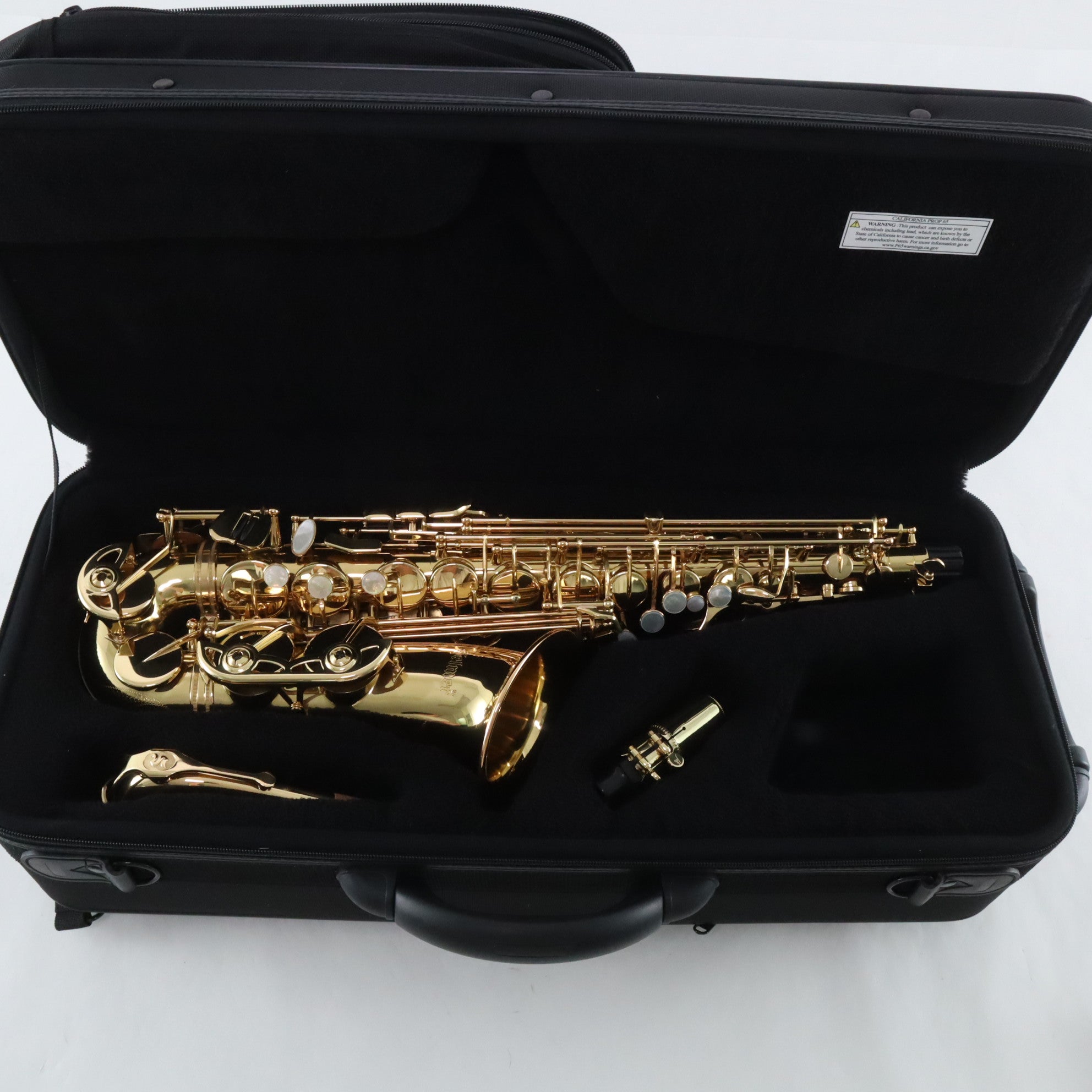 Selmer Model SAS511 Intermediate Alto Saxophone MINT CONDITION – The ...