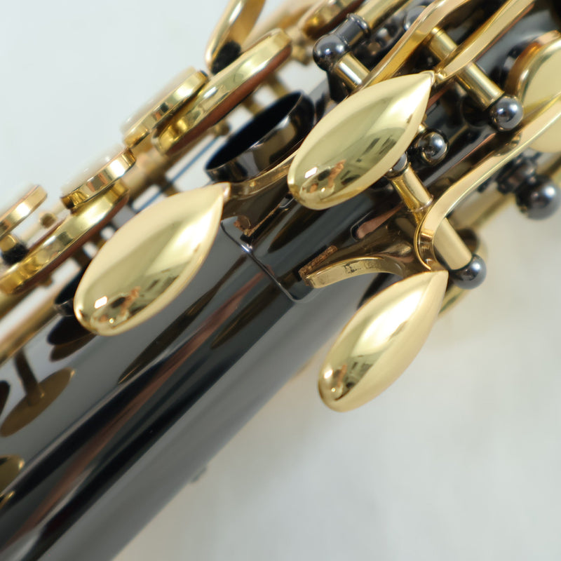 Selmer Model SAS511B Eb Alto Saxophone in Black Lacquer SN 23115161 OPEN BOX- for sale at BrassAndWinds.com