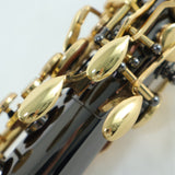 Selmer Model SAS511B Eb Alto Saxophone in Black Lacquer SN 23115192 OPEN BOX- for sale at BrassAndWinds.com