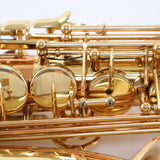 Selmer Model SAS511C Eb Alto Saxophone with Copper Body SN 23103174 EXCELLENT- for sale at BrassAndWinds.com