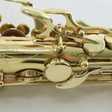 Selmer Model SAS711 Professional Alto Saxophone in Clear Lacquer MINT CONDITION- for sale at BrassAndWinds.com