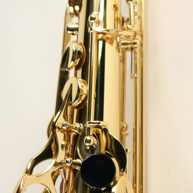 Selmer Paris Model 54JU 'Series II Jubilee' Professional Tenor Saxophone BRAND NEW- for sale at BrassAndWinds.com