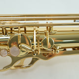 Selmer Paris Model 64J 'Series III Jubilee' Tenor Saxophone SN N847806 OPEN BOX- for sale at BrassAndWinds.com