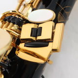 Selmer Paris Model 82SIGBL 'Signature' Alto Saxophone in Black Lacquer MINT CONDITION- for sale at BrassAndWinds.com