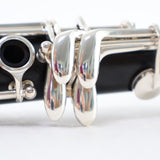 Selmer Paris Model A16PR2 'Privilege II' A Clarinet SN R02105 OPEN BOX- for sale at BrassAndWinds.com