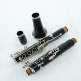 Selmer Paris Series 9 Professional Bb Clarinet SN S3030 FRESH OVERHAUL- for sale at BrassAndWinds.com