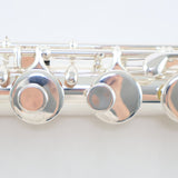 William S. Haynes Model AF670-C 'Amadeus' Alto Flute with Curved Head SN B2301279 OPEN BOX- for sale at BrassAndWinds.com