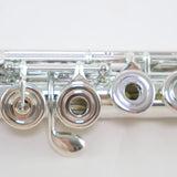 William S. Haynes Model AF708-CO 'Amadeus' Solid Silver Flute SN B1901203 OPEN BOX- for sale at BrassAndWinds.com