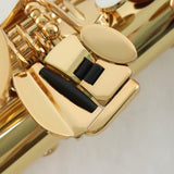 Yamaha Model YAS-62III Professional Alto Saxophone MINT CONDITION- for sale at BrassAndWinds.com